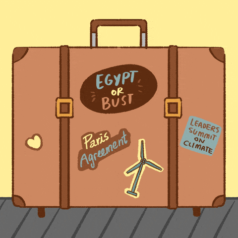 Egypt or Bust COP27