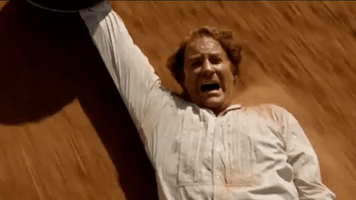 Yell Wild Wild West GIF