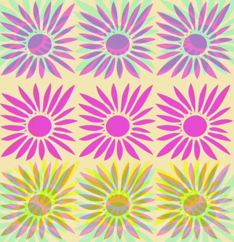 Happy Summer GIF by Daisy Lemon