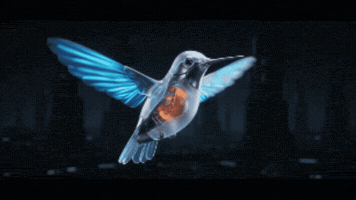 Marca Marketing Digital GIF by Videira Digital