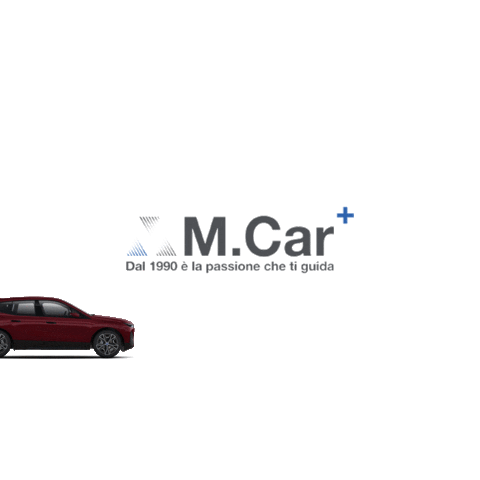 M.Car Napoli Sticker