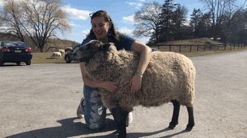 Vegan Hug GIF by Catskill Animal Sanctuary