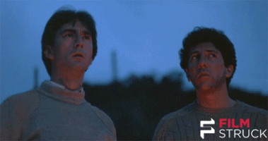local hero 80s GIF by FilmStruck