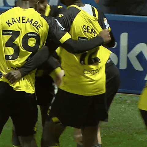 See You Later Soccer GIF by Watford Football Club
