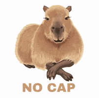 Capybara GIF