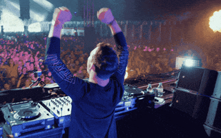 waving electronic dance music GIF by Hardwell