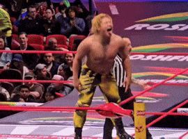 Lucha Libre Wrestling GIF