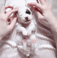 200.gif?cid=f0bdee70028l2micmol6krwbr4etxujmv6ler6ue08kve1xg&rid=200.gif&ct=g