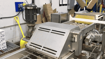 Cbc Leamington GIF