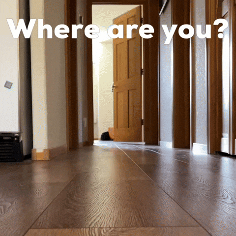 Where Are You Dog GIF
