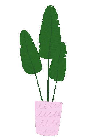 Green Sticker