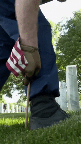 Memorial Day GIF by Storyful