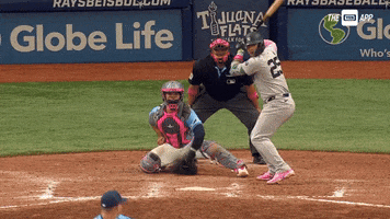 Lets Go Mlb GIF by YES Network