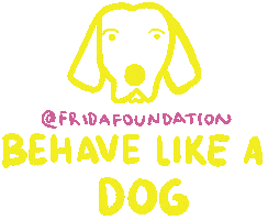 Frida Foundation Sticker
