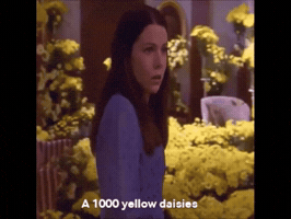 Gilmore Girls GIF