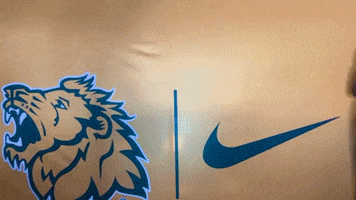 GIF by MOSO Sports