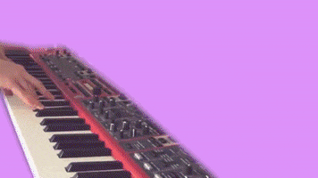 200.gif?cid=fc005b085653d1d60f4d5db90fff4bbdcc65b8d4e97068fb&rid=200.gif&ct=g