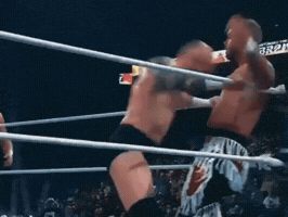 Pro Wrestling GIF