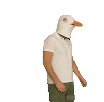 Cocai Sticker by CocaiExpress