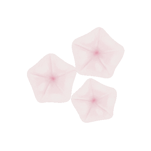 Pink Flower Sticker