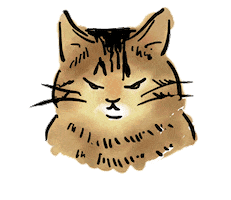Tabby Cat Yes Sticker