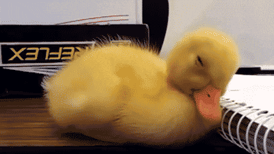 Giphy - Tired Wake Up GIF