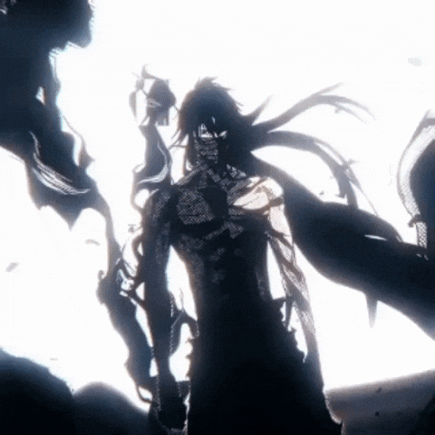Bleach Memes GIF