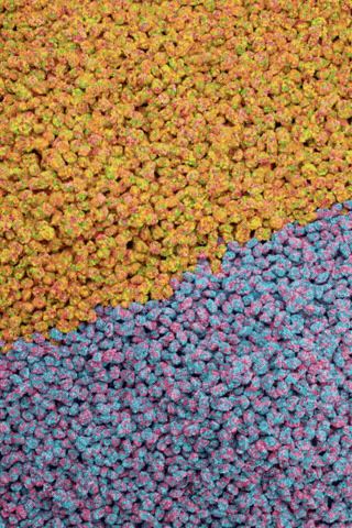 Happy Nerd GIF by NERDS Candy