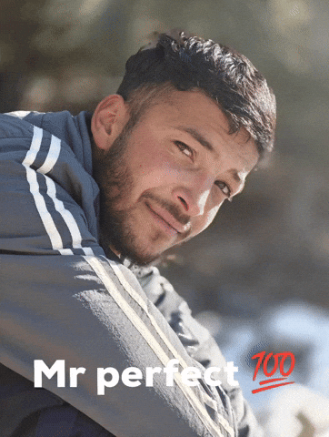 Mr Perfect Waseem GIF