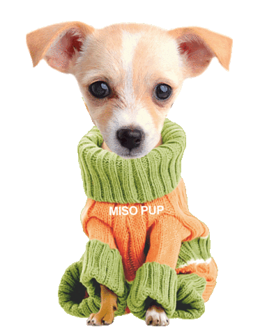 Dog Wink Sticker by MISO PUP for iOS & Android | GIPHY