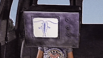 200.gif?cid=fc005b08804db6d0c90605898074d262855256cd86f4bda4&rid=200.gif&ct=g