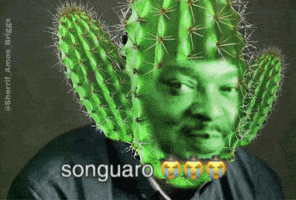 Cowboy Son GIF