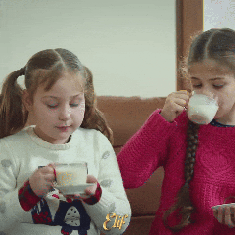 GIF by Eccho Rights