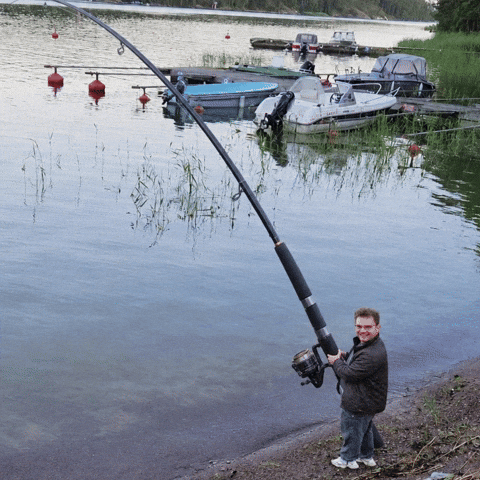 Fish React GIF