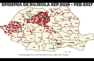 ovidiucovaciu  GIF