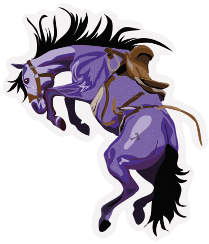Rodeo Tarletonstate Sticker by Tarleton State University