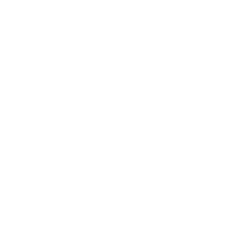 Mind Master