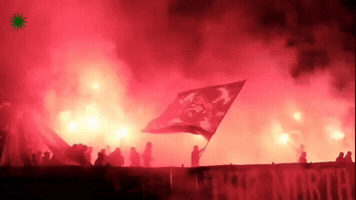 Green Army Csc GIF