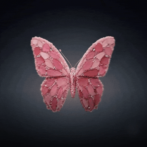 Miss World Queen GIF by AndreaRomeroBre