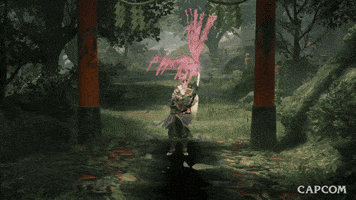Video Game Guardian GIF by CAPCOM