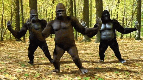 gorillas meme gif