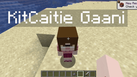 Roamers Minecraft Mod