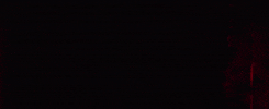 GIF by Oggi