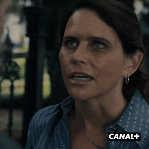 Tv Show Police GIF by CANAL+