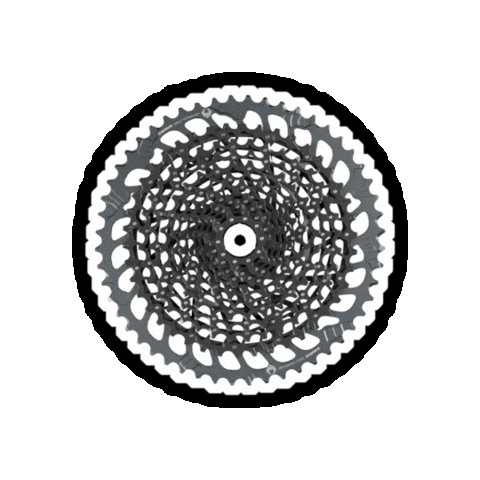 Jbc Sticker by Wondercross