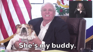West Virginia Dog GIF by GIPHY News