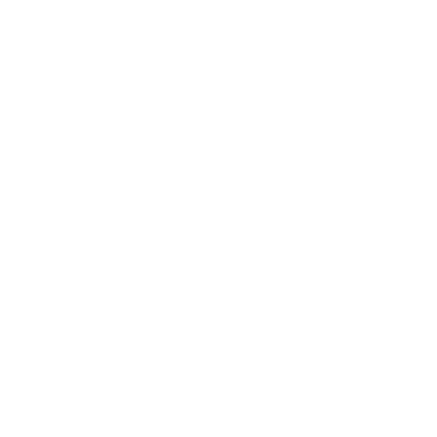 Feicon Sticker by Canal Blukit
