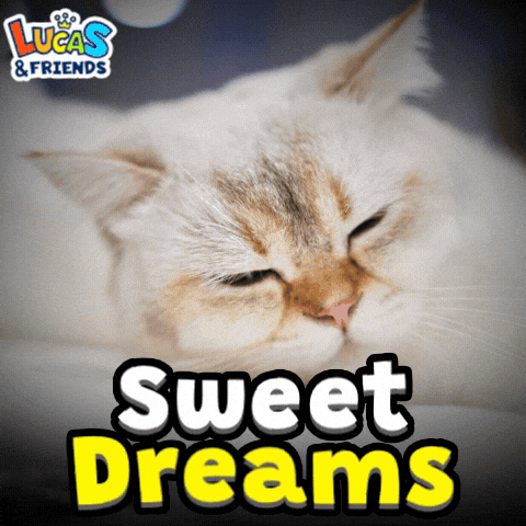 Good Night Cat GIF by Lucas and Friends by RV AppStudios