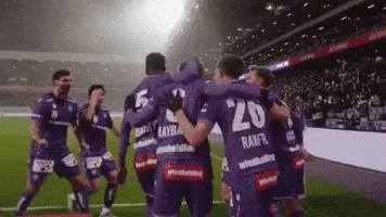 Austria Vienna GIF