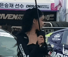 Model GIF
